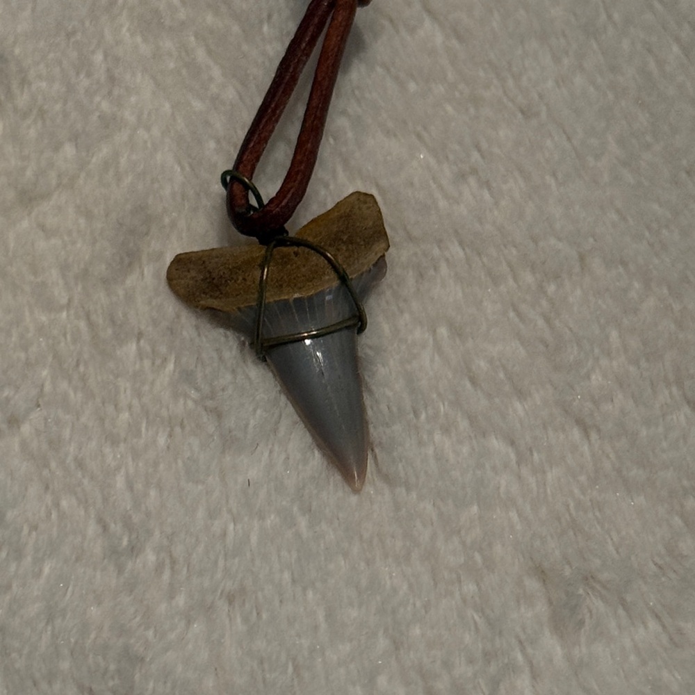 Brown Leather Necklace with real Shark tooth, adjustable!